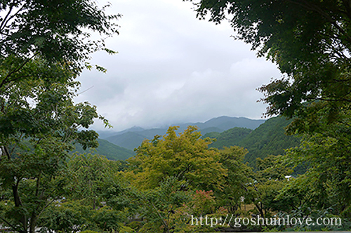 宝徳寺_山の風景