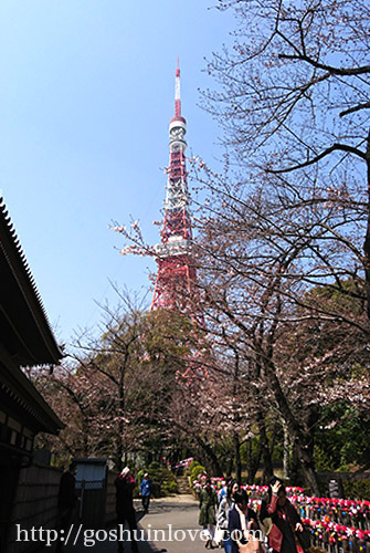 安国殿横からの東京タワー