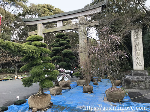 大鳥居と植木市