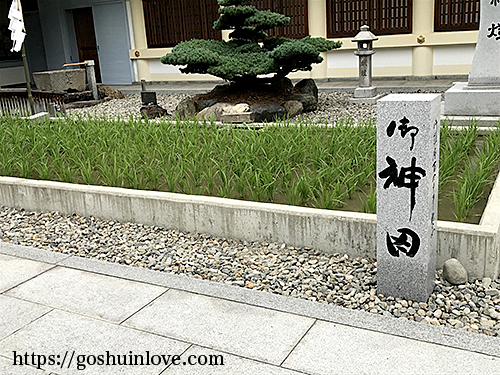 愛知県護国神社御神田