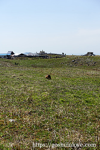 広い空間